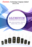 Aluminum E Capacitors